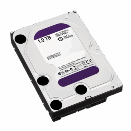 Disco Duro Western Digital Purple 1TB