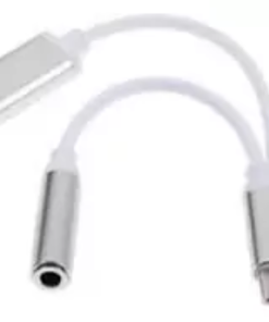 Adaptador 2 en 1 USB C a Spica + USB C Hembra Adaptador 2 en 1 USB C a Spica USB C Hembra pronet 1 Adaptador 2 en 1 USB C a Spica USB C Hembra pronet 1