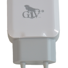 Cargador GIV-A12 de Carga Rapida Cargador GIV-A12 de Carga Rapida