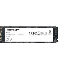 Disco Solido M.2 Patriot P300 de 2TB