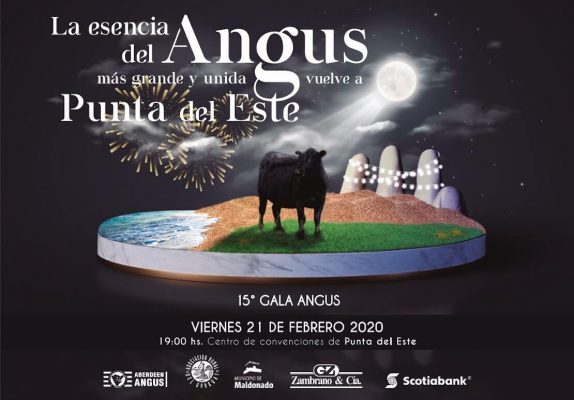 Gala angus Gala Angus 1110x773 Gala Angus 1110x773