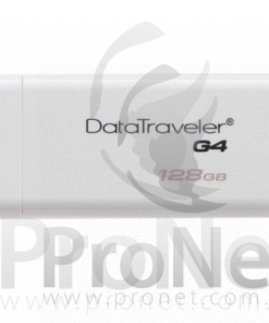 Kingston 128Gb DataTraveler G4