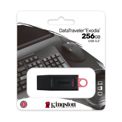 Pendrive Kingston de 256GB DataTraveler