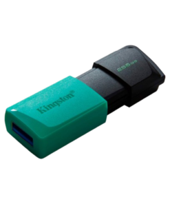 Pendrive Kingston de 256GB DXT Exodia