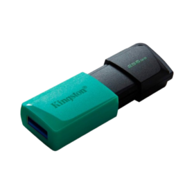 Pendrive Kingston de 256GB DXT Exodia
