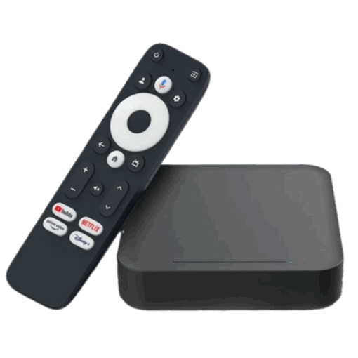 Tv Box Google Streaming GT1 2/32GB 4K