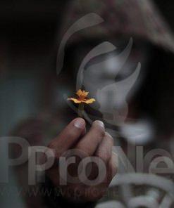 Antivirus eScan escan anonimus escan anonymous